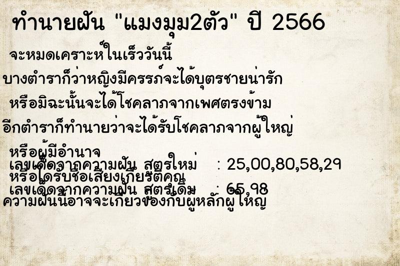 ทำนายฝัน แมงมุม2ตัว