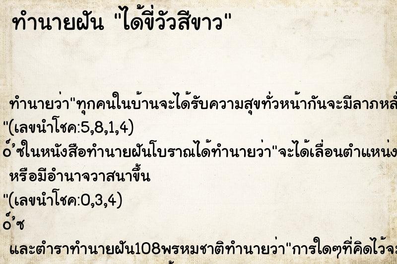 ทำนายฝัน ได้ขี่วัวสีขาว ทำนายฝัน ได้ขี่วัวสีขาว