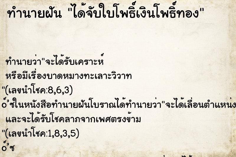 ทำนายฝันได้จับใบโพธิ์เงินโพธิ์ทอง ทำนายฝันทำนายฝันได้จับใบโพธิ์เงินโพธิ์ทอง
