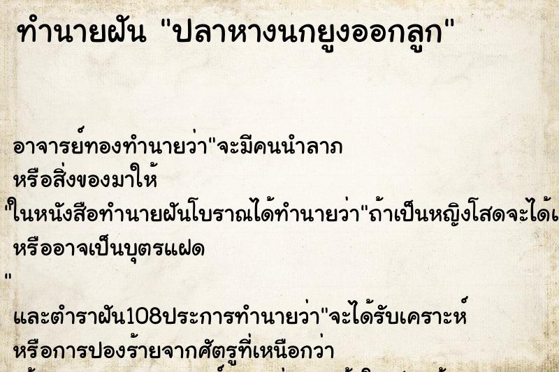 ทำนายฝัน ปลาหางนกยูงออกลูก