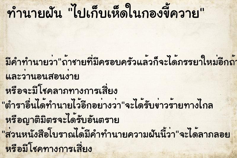 ทำนายฝันทำนายฝันไปเก็บเห็ดในกองขี้ควาย