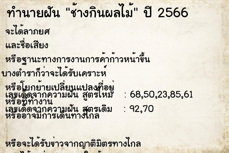 ทำนายฝัน ช้างกินผลไม้ ทำนายฝัน ช้างกินผลไม้