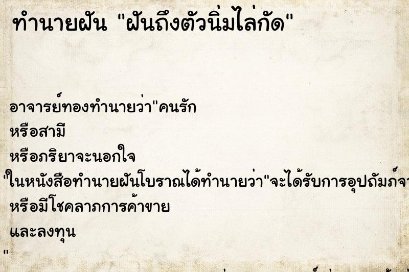 ทำนายฝันทำนายฝันฝันถึงตัวนิ่มไล่กัด
