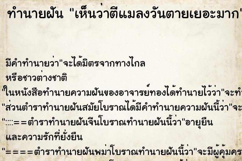 ทำนายฝันเห็นว่าตีแมลงวันตายเยอะมาก ทำนายฝันทำนายฝันเห็นว่าตีแมลงวันตายเยอะมาก