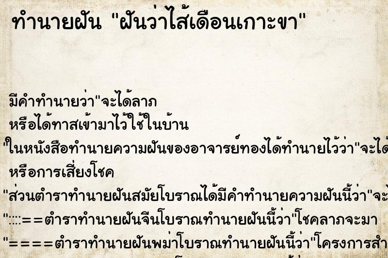 ทำนายฝัน ฝันว่าไส้เดือนเกาะขา ทำนายฝัน ฝันว่าไส้เดือนเกาะขา