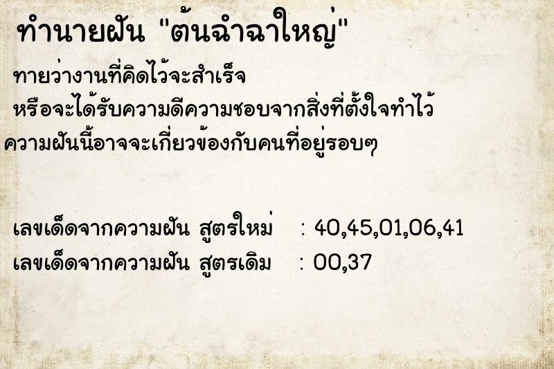 ทำนายฝัน ต้นฉำฉาใหญ่