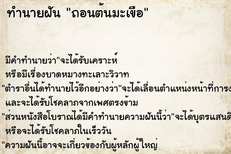 ทำนายฝัน ถอนต้นมะเขือ ทำนายฝัน ถอนต้นมะเขือ