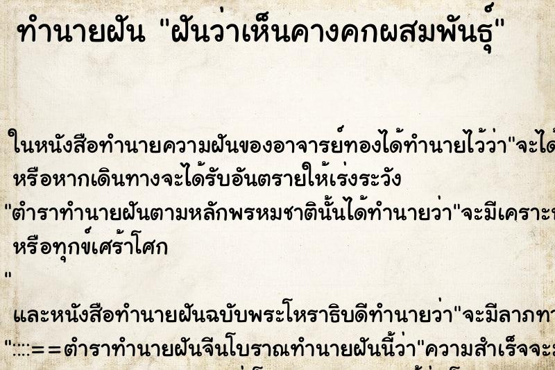 ทำนายฝันฝันว่าเห็นคางคกผสมพันธุ์ ทำนายฝันทำนายฝันฝันว่าเห็นคางคกผสมพันธุ์