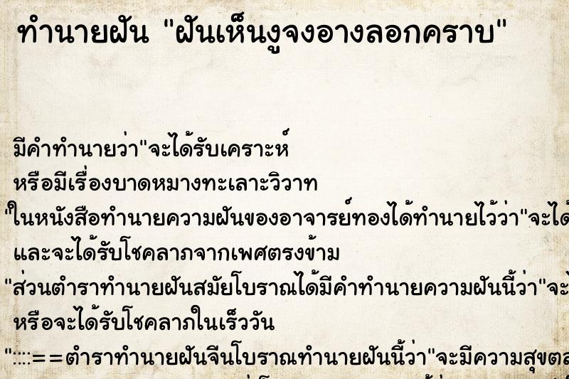 ทำนายฝัน ฝันเห็นงูจงอางลอกคราบ ทำนายฝัน ฝันเห็นงูจงอางลอกคราบ