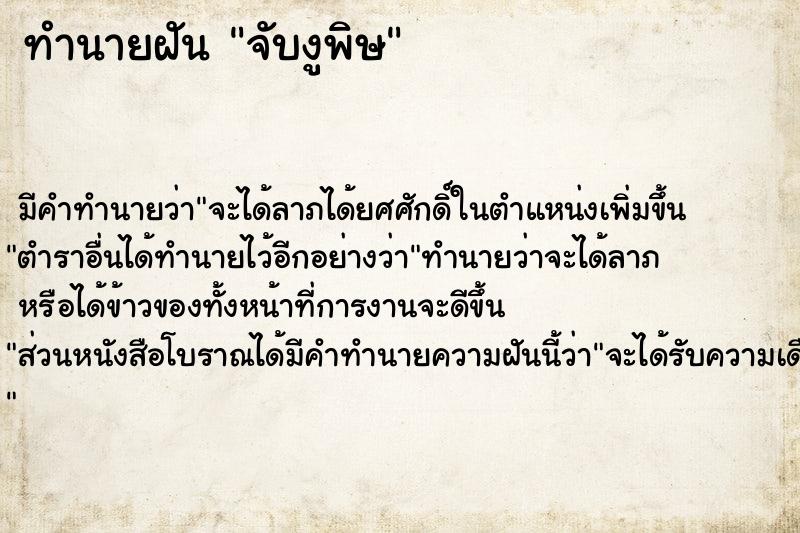 ทำนายฝันจับงูพิษ ทำนายฝันทำนายฝันจับงูพิษ