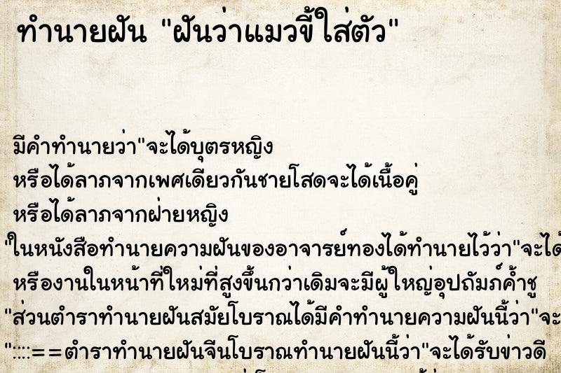 ทำนายฝัน ฝันว่าแมวขี้ใส่ตัว
