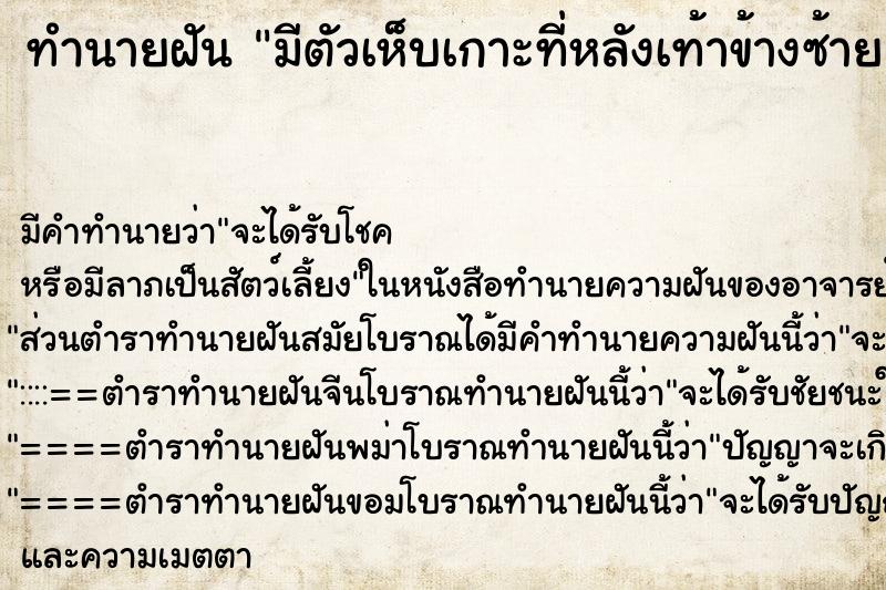 ทำนายฝันมีตัวเห็บเกาะที่หลังเท้าข้างซ้าย ทำนายฝันทำนายฝันมีตัวเห็บเกาะที่หลังเท้าข้างซ้าย
