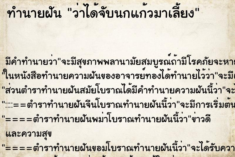 ทำนายฝันว่าได้จับนกแก้วมาเลี้ยง ทำนายฝันทำนายฝันว่าได้จับนกแก้วมาเลี้ยง