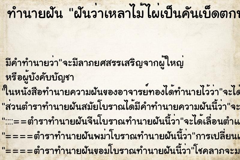 ทำนายฝัน ฝันว่าเหลาไม้ไผ่เป็นคันเบ็ดตกปลา ทำนายฝัน ฝันว่าเหลาไม้ไผ่เป็นคันเบ็ดตกปลา