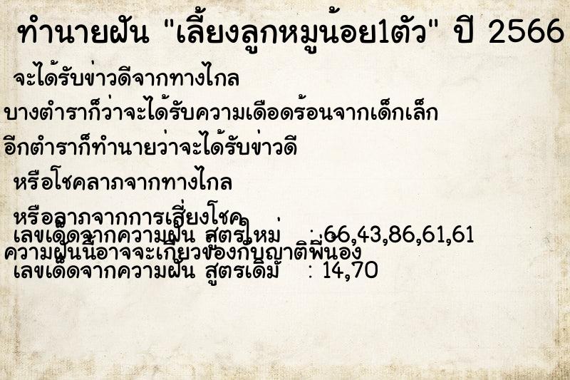 ทำนายฝัน เลี้ยงลูกหมูน้อย1ตัว