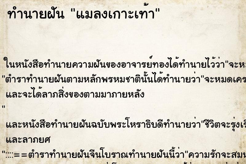 ทำนายฝัน แมลงเกาะเท้า แม่นๆ ฟรี ด้วยตำราหนังสือทำนายฝันโบราณ ทำนายฝันแมลงเกาะเท้า