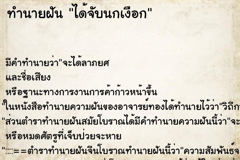 ทำนายฝัน ได้จับนกเงือก ทำนายฝัน ได้จับนกเงือก