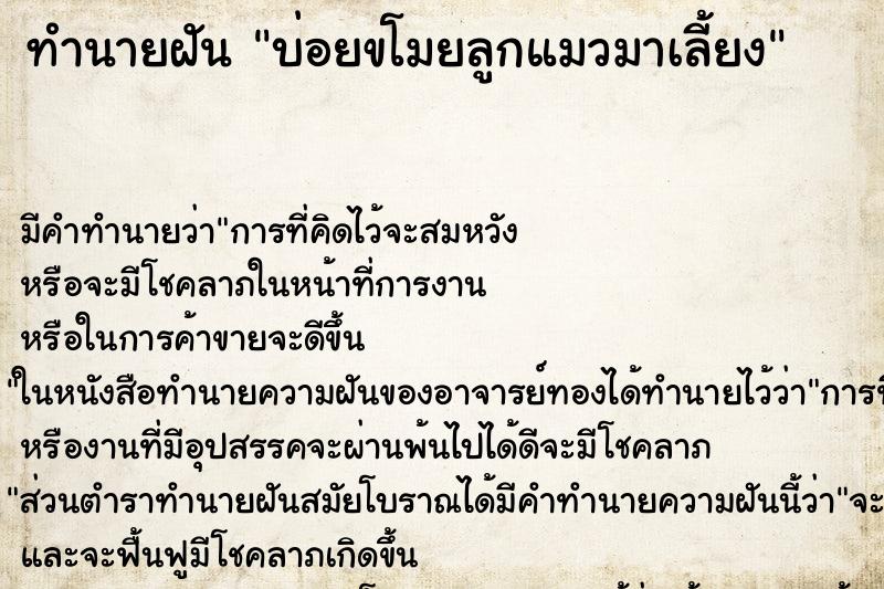 ทำนายฝันบ่อยขโมยลูกแมวมาเลี้ยง ทำนายฝันทำนายฝันบ่อยขโมยลูกแมวมาเลี้ยง