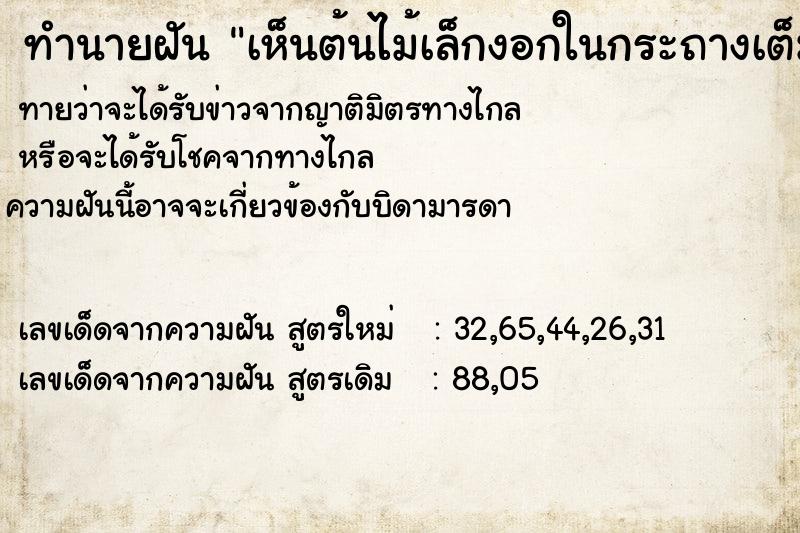 ทำนายฝันทำนายฝันเห็นต้นไม้เล็กงอกในกระถางเต็มไปหมด