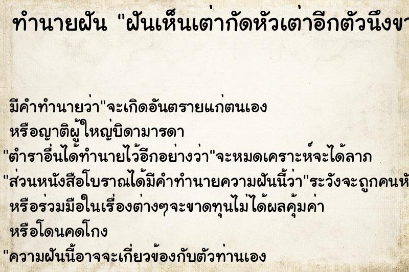 ทำนายฝันฝันเห็นเต่ากัดหัวเต่าอีกตัวนึงขาด ทำนายฝันทำนายฝันฝันเห็นเต่ากัดหัวเต่าอีกตัวนึงขาด