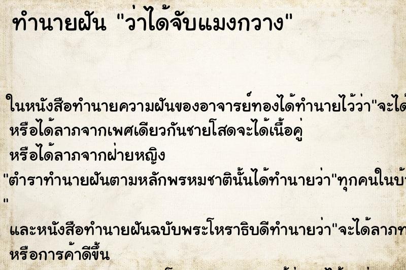 ทำนายฝันว่าได้จับแมงกวาง ทำนายฝันทำนายฝันว่าได้จับแมงกวาง