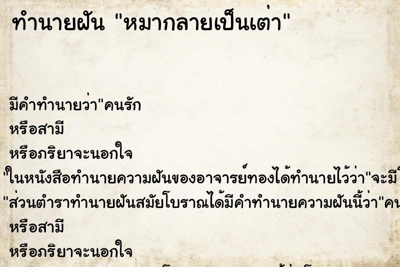 ทำนายฝัน หมากลายเป็นเต่า ทำนายฝัน หมากลายเป็นเต่า