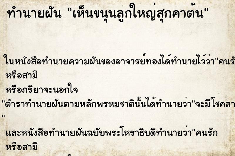 ทำนายฝัน เห็นขนุนลูกใหญ่สุกคาต้น ทำนายฝัน เห็นขนุนลูกใหญ่สุกคาต้น