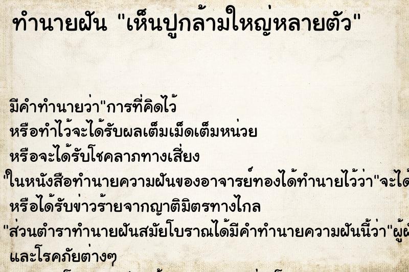 ทำนายฝัน เห็นปูกล้ามใหญ่หลายตัว ทำนายฝัน เห็นปูกล้ามใหญ่หลายตัว