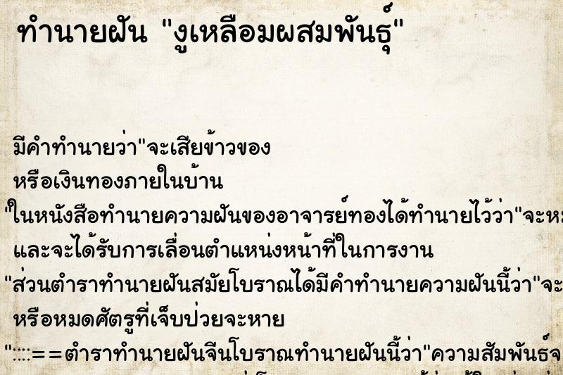 ทำนายฝันงูเหลือมผสมพันธุ์ ทำนายฝันทำนายฝันงูเหลือมผสมพันธุ์
