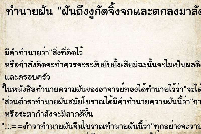 ทำนายฝันฝันถึงงูกัดจิ้งจกและตกลงมาลัดขา ทำนายฝันทำนายฝันฝันถึงงูกัดจิ้งจกและตกลงมาลัดขา