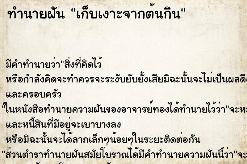 ทำนายฝัน เก็บเงาะจากต้นกิน ทำนายฝัน เก็บเงาะจากต้นกิน