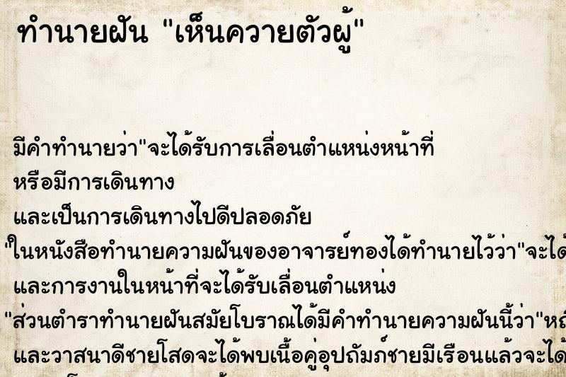 ทำนายฝันเห็นควายตัวผู้ ทำนายฝันทำนายฝันเห็นควายตัวผู้