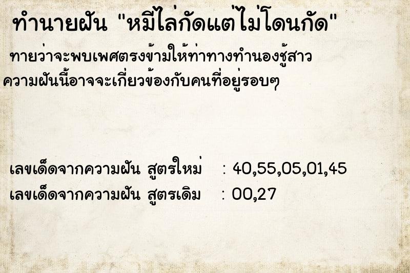 ทำนายฝัน หมีไล่กัดแต่ไม่โดนกัด ทำนายฝัน หมีไล่กัดแต่ไม่โดนกัด