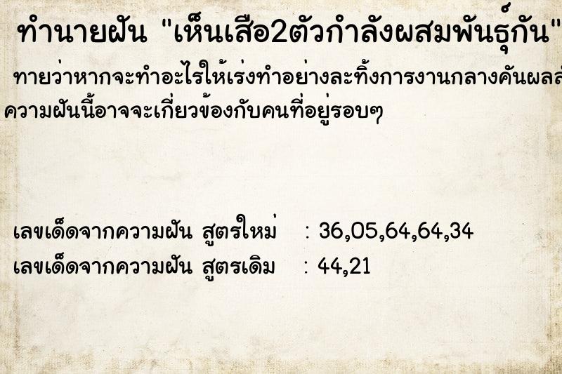 ทำนายฝัน เห็นเสือ2ตัวกำลังผสมพันธุ์กัน ทำนายฝัน เห็นเสือ2ตัวกำลังผสมพันธุ์กัน