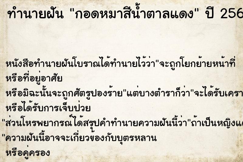 ทำนายฝันกอดหมาสีน้ำตาลแดง ทำนายฝันทำนายฝันกอดหมาสีน้ำตาลแดง
