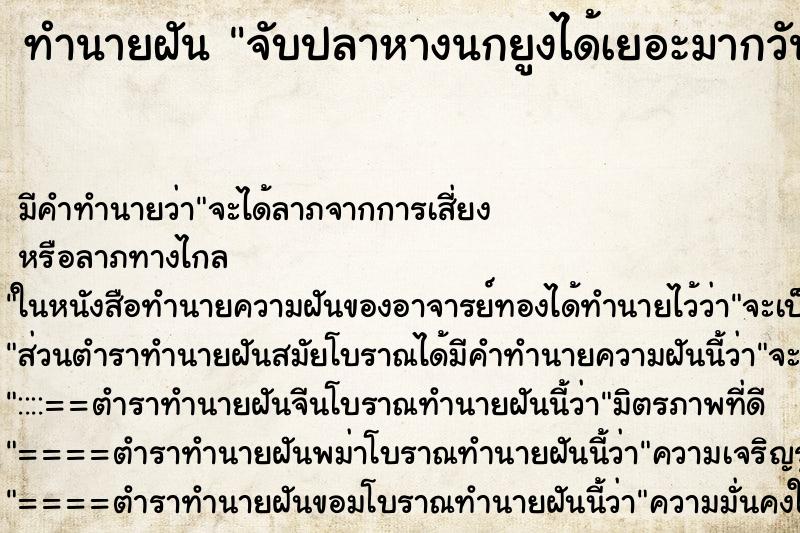 ทำนายฝันทำนายฝันจับปลาหางนกยูงได้เยอะมากวัน