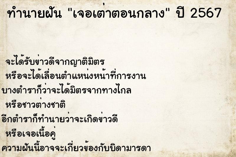 ทำนายฝันทำนายฝันเจอเต่าตอนกลาง