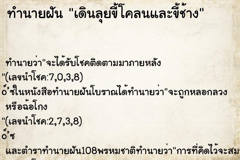 ทำนายฝันเดินลุยขี้โคลนและขี้ช้าง ทำนายฝันทำนายฝันเดินลุยขี้โคลนและขี้ช้าง