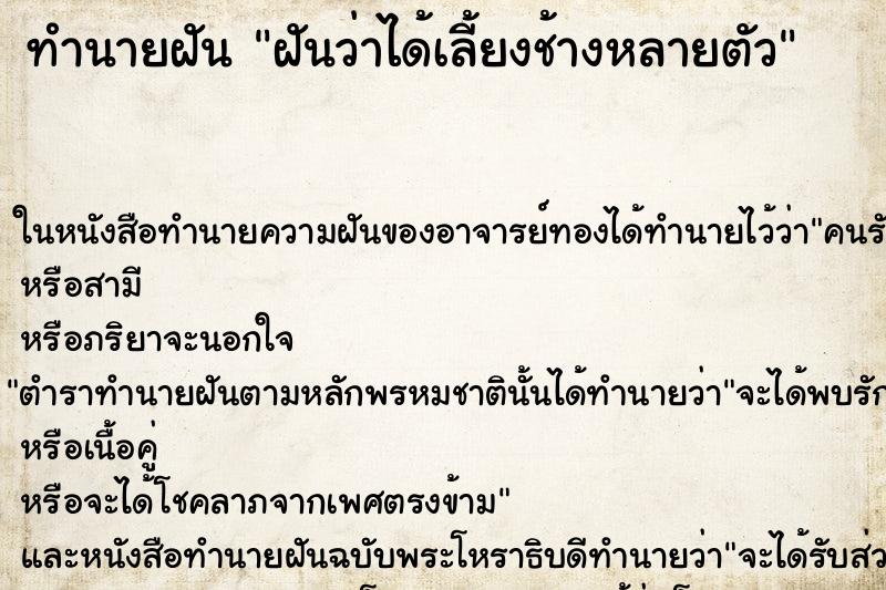 ทำนายฝันทำนายฝันฝันว่าได้เลี้ยงช้างหลายตัว