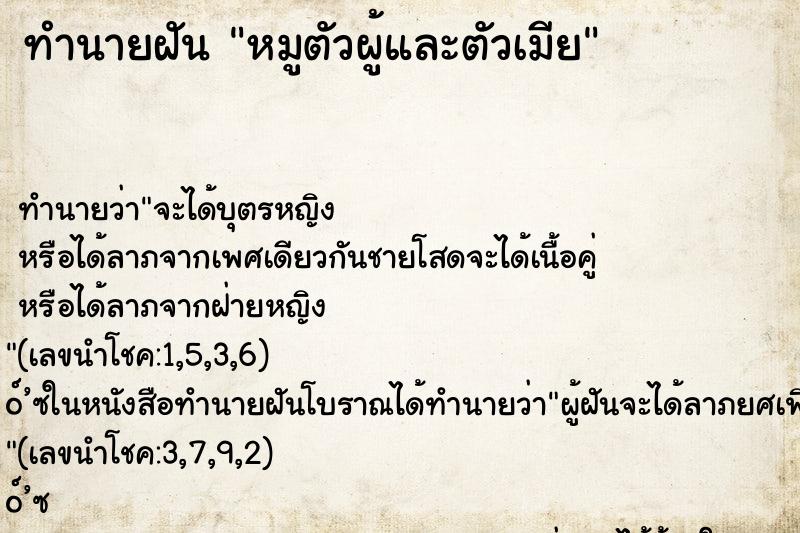 ทำนายฝันหมูตัวผู้และตัวเมีย ทำนายฝันทำนายฝันหมูตัวผู้และตัวเมีย
