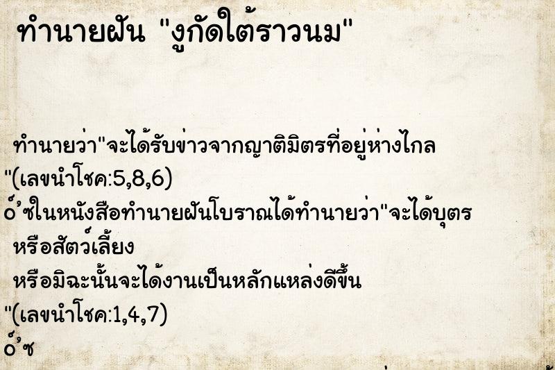 ทำนายฝัน งูกัดใต้ราวนม ทำนายฝัน งูกัดใต้ราวนม