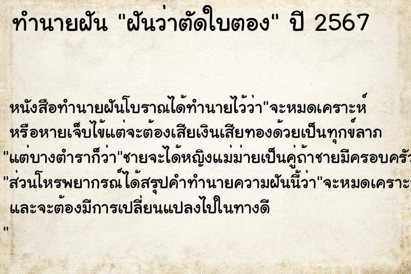 ทำนายฝัน ฝันว่าตัดใบตอง ทำนายฝัน ฝันว่าตัดใบตอง