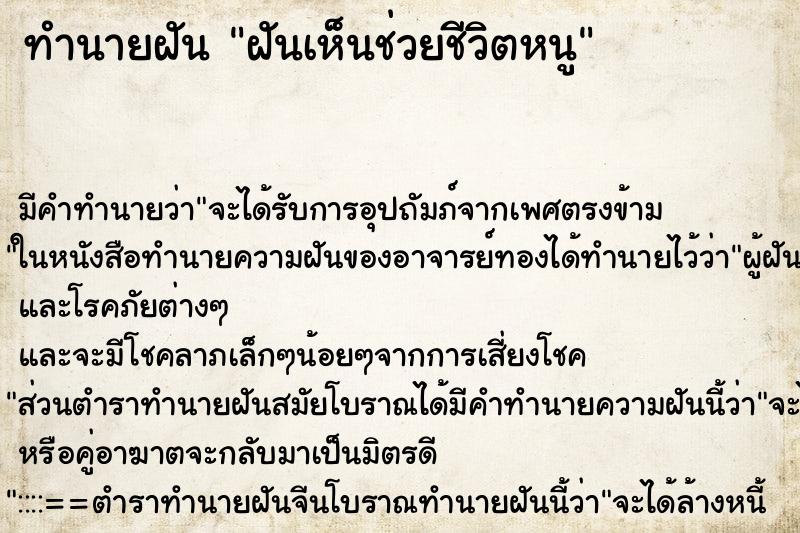 ทำนายฝัน ฝันเห็นช่วยชีวิตหนู ทำนายฝัน ฝันเห็นช่วยชีวิตหนู