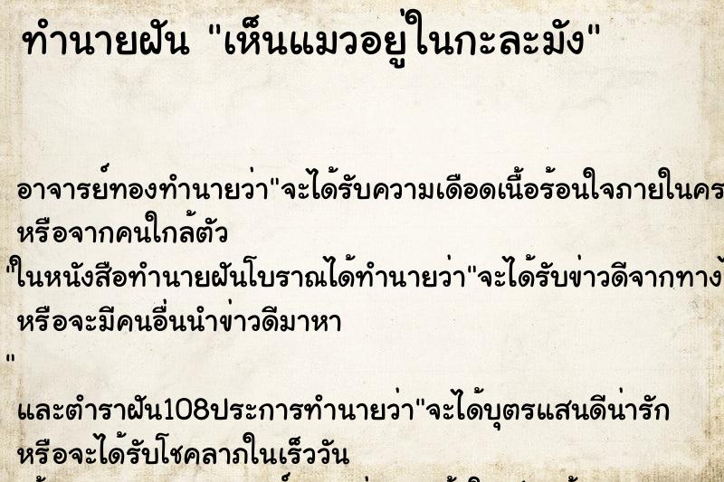 ทำนายฝันทำนายฝันเห็นแมวอยู่ในกะละมัง
