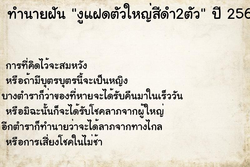 ทำนายฝัน งูแฝดตัวใหญ่สีดำ2ตัว