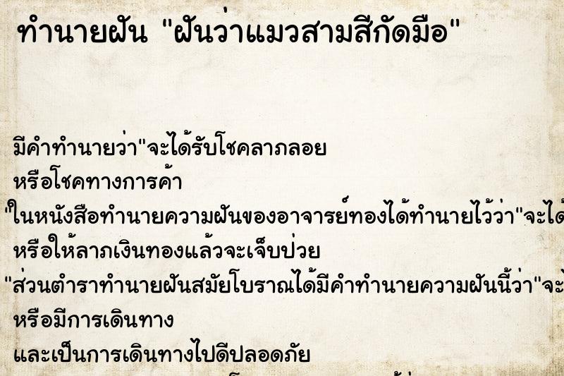 ทำนายฝันฝันว่าแมวสามสีกัดมือ ทำนายฝันทำนายฝันฝันว่าแมวสามสีกัดมือ