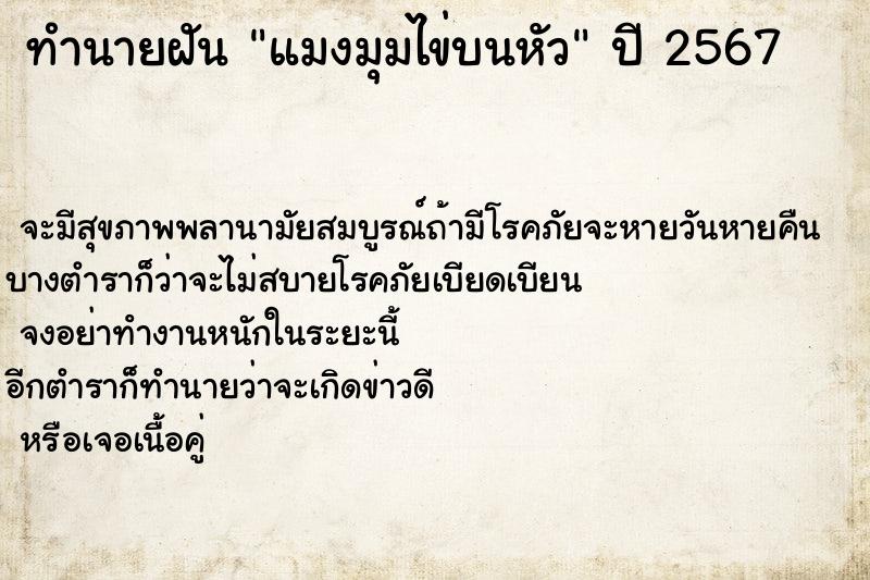 ทำนายฝันแมงมุมไข่บนหัว ทำนายฝันทำนายฝันแมงมุมไข่บนหัว