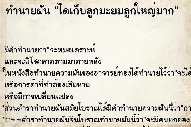 ทำนายฝัน ไดเก็บลูกมะยมลูกใหญ่มาก ทำนายฝัน ไดเก็บลูกมะยมลูกใหญ่มาก
