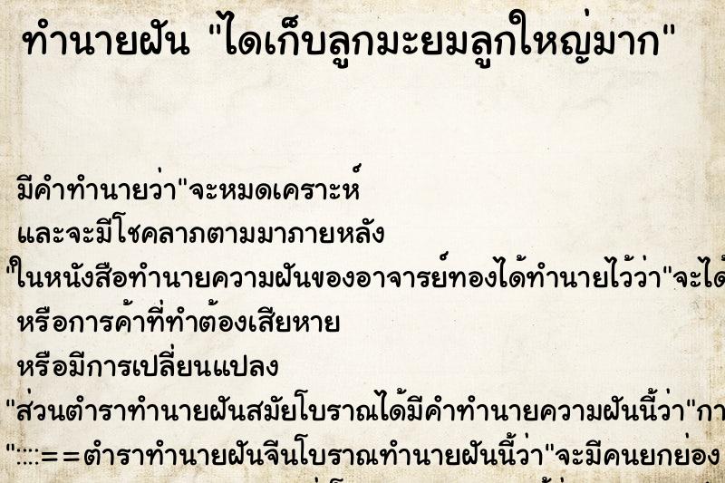 ทำนายฝัน ไดเก็บลูกมะยมลูกใหญ่มาก ตำราโบราณ แม่นที่สุดในโลก