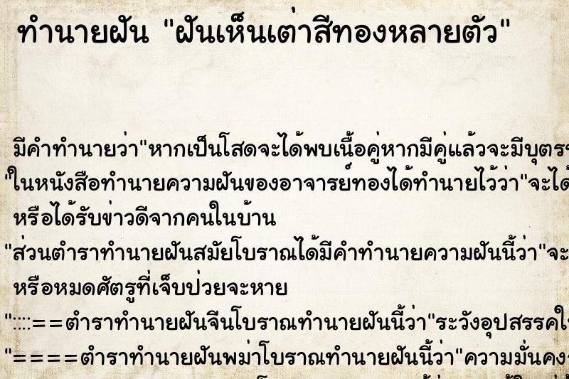 ทำนายฝัน ฝันเห็นเต่าสีทองหลายตัว ทำนายฝัน ฝันเห็นเต่าสีทองหลายตัว